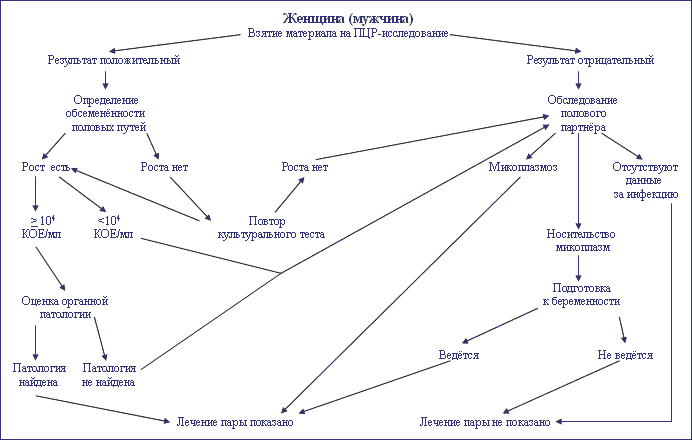 Курсовая работа: Урогенитальный микоплазмоз