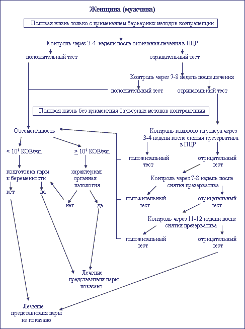 Курсовая работа: Урогенитальный микоплазмоз